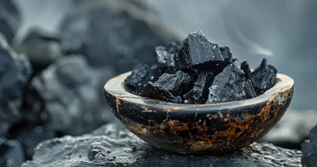 You are currently viewing How does Shilajit help boost your sexual performance?